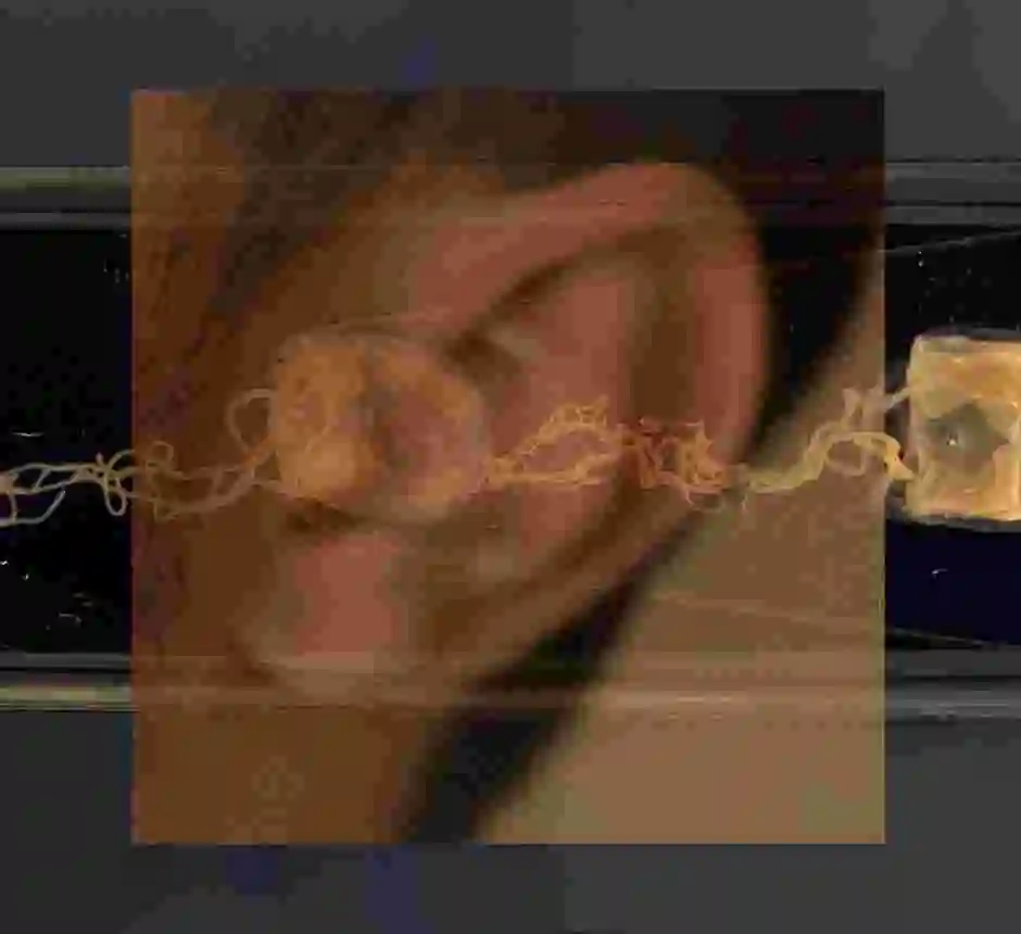 Bildkomposition med ett bakomliggande öra som korsas av något som liknar en spermie.