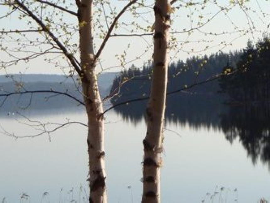 Dala_Floda_Vy_2_4